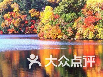许玮甯首度正面回应婚变传闻,明星婚变为什么这么引人关注?-智能问答网页,解答您的疑惑